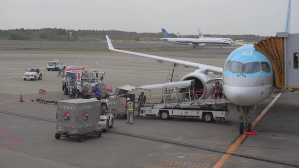 Korean Airlines Airplane Airbus A220 Arrived Tokyo International Narita Airportand — Stok Video