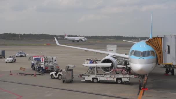 Korean Airlines Airplane Airbus A220 Arrived Tokyo International Narita Airport — Αρχείο Βίντεο