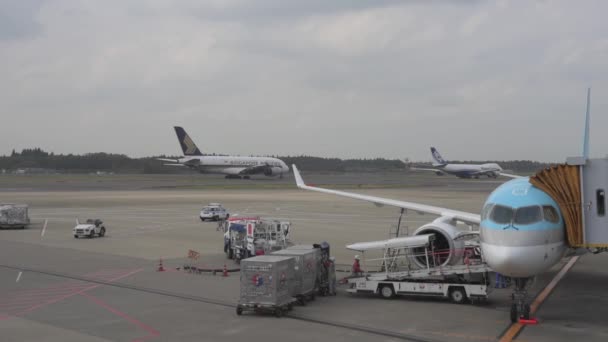 Korean Airlines Airplane Airbus A220 Arrived Tokyo International Narita Airport — Αρχείο Βίντεο