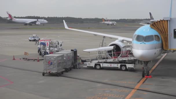 Korean Airlines Airplane Airbus A220 Arrived Tokyo International Narita Airportand — Stok video