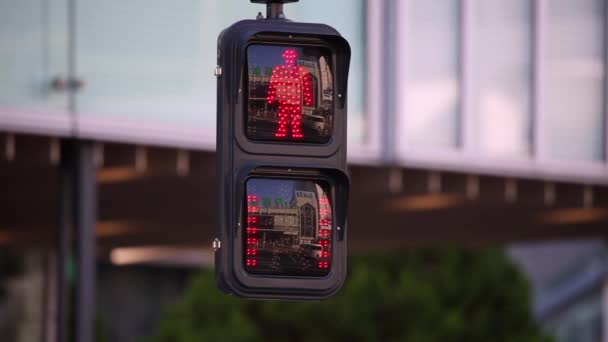 Pedestrian Traffic Light Red Light People Waiting Till Can Cross — Stockvideo