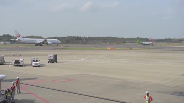 Tokyo International Narita Airport Ground Service Working Background Japan Airlines — Video Stock