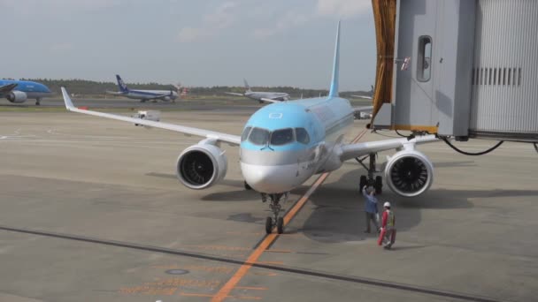 Tokyo International Narita Airport Ground Service Working Background Korean Airlines — Wideo stockowe