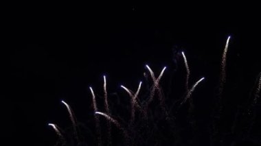 Fireworks in Night Sky. Colorful Background. Show in the sky