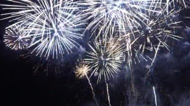 Fireworks in Night Sky. Colorful Background. Show in the sky