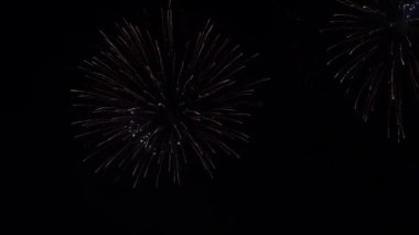 Fireworks in Night Sky. Colorful Background. Show in the sky