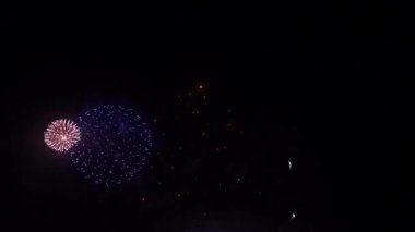 Fireworks in Night Sky. Colorful Background. Show in the sky
