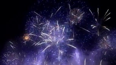 Fireworks in Night Sky. Colorful Background. Show in the sky