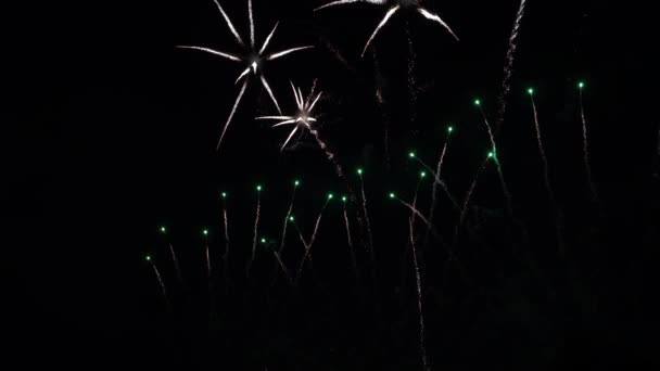 Fireworks Night Sky Colorful Background Show Sky — Video