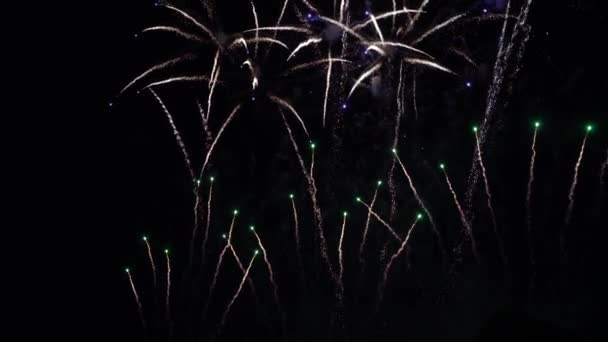Fireworks Night Sky Colorful Background Show Sky — Stock video