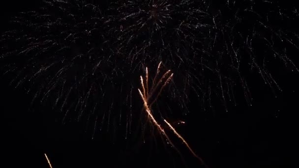 Fireworks Night Sky Colorful Background Show Sky — Stockvideo