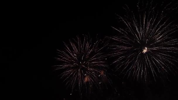 Fireworks Night Sky Colorful Background Show Sky — Video