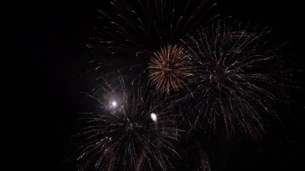 Fireworks Night Sky Colorful Background Show Sky — Vídeos de Stock