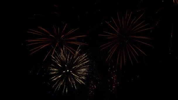 Fireworks Night Sky Colorful Background Show Sky — ストック動画