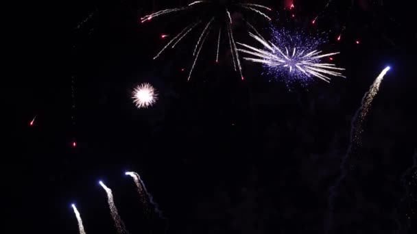 Fireworks Night Sky Colorful Background Show Sky — Stockvideo
