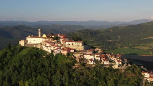 Village Motovun Croatie Est Village Une Municipalité Istrie Centrale Croatie — Video