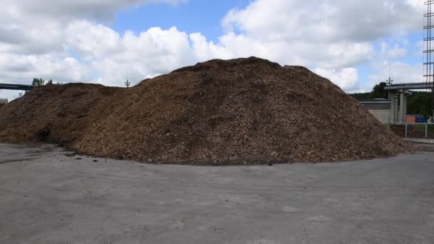 Wood Chips Shavings Ground Sawdust Wood Processing Waste Granulated Wooden — Vídeos de Stock