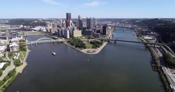 Pittsburgh Şehri Pennsylvania Allegheny Monongahela Nehirleri Şehir Köprüler Sayesinde Ünlü — Stok video