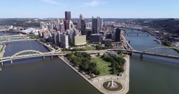 宾夕法尼亚州匹兹堡市的风景 Allegheny河和Monongahela河 这座城市因桥梁而闻名 背景俄亥俄河角州立公园商业大厦 — 图库视频影像