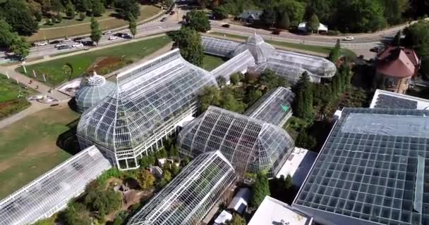 Phipps Conservatory Botanical Gardens Pittsburgh Pennsylvania United States Schenley Park — 图库视频影像