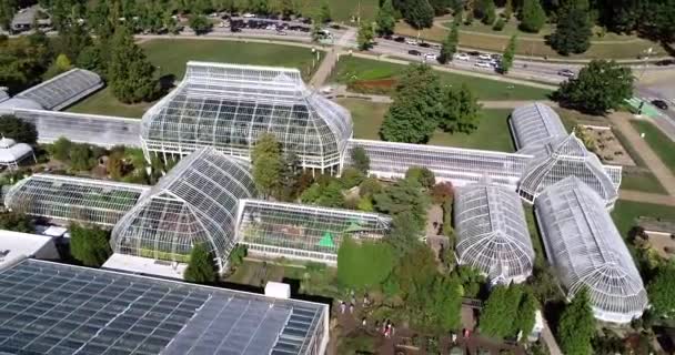 Phipps Conservatory Botanical Gardens Pittsburgh Pennsylvania United States Schenley Park — Vídeos de Stock