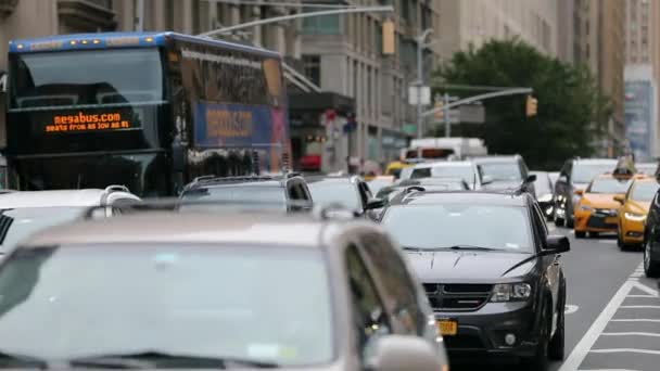 맨하탄의 데일리 교통입니다 Truck Cabs Public Transport Taxi Background — 비디오