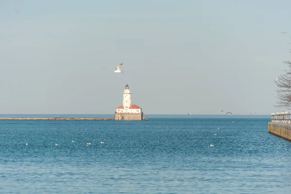Chicago Lighthouse Michigan Lake Flying Seagull Illinois — Stok fotoğraf