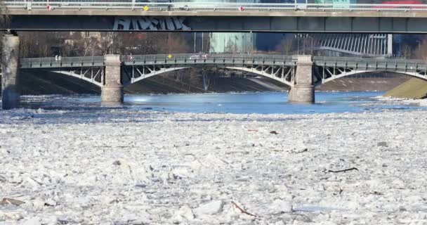 Ice Drift Vilnius Lithuania River Neris Ice Floes Float River — Vídeo de Stock