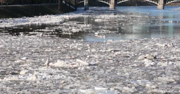 Ice Drift Vilnius Lithuania River Neris Ice Floes Float River — Video