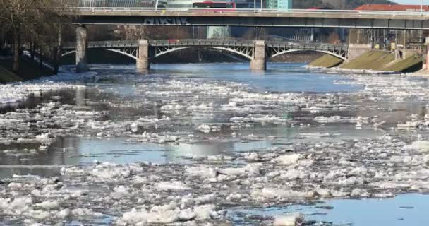 リトアニアのヴィリニュスで流氷 ネリス川だ 春には川に流氷が浮かぶ 流氷運動 冬の風景 氷水の融解 地球温暖化の概念 — ストック動画