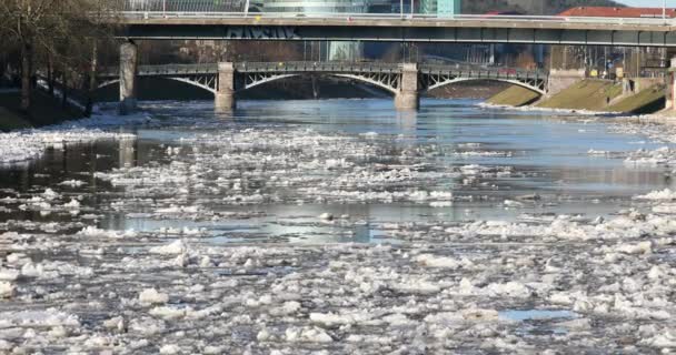 リトアニアのヴィリニュスで流氷 ネリス川だ 春には川に流氷が浮かぶ 流氷運動 冬の風景 氷水の融解 地球温暖化の概念 — ストック動画