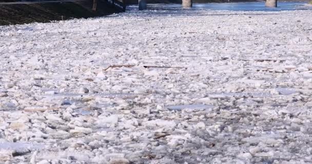 Льодовий Дрейф Вільнюсі Литва Річка Неріс Льодовик Плаває Річці Навесні — стокове відео