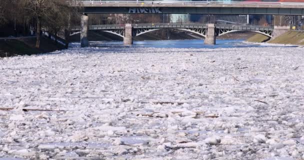 Ice Drift Vilnius Lituania Fiume Neris Ghiacci Galleggiano Sul Fiume — Video Stock