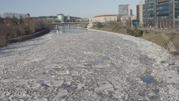 リトアニアのヴィリニュスで流氷 ネリス川だ 春には川に流氷が浮かぶ 流氷運動 冬の風景 氷水の融解 地球温暖化と気候変動の概念 — ストック動画