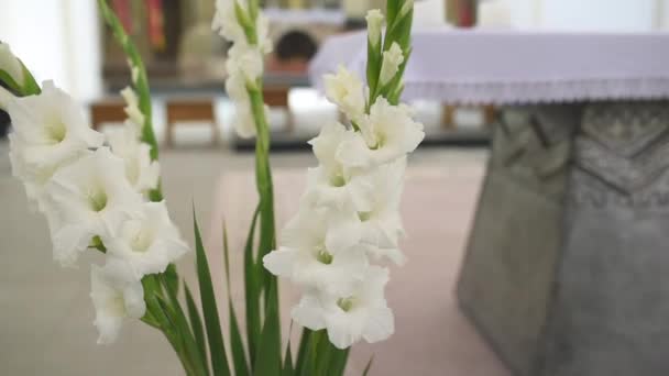 Γκλάντιολα Φλάουερ Στην Εκκλησία Ανθισμένα Λευκά Λουλούδια Θολή Υπόσταση — Αρχείο Βίντεο