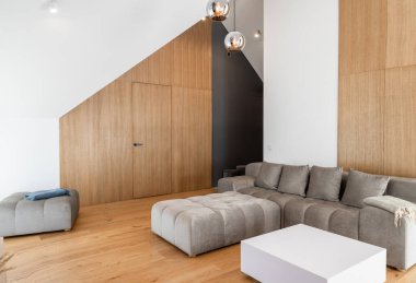 The Stylish Spacious Luxury Interior Design of Living Room with Design Gray Sofa, Decoration, Pillows in Modern Home Decor. Modern Living Room