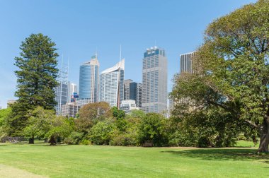 Sydney Business Architecture with Park in Foreground