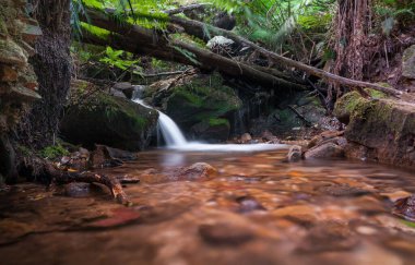 Blue Mountain Falls in Sydney, Australia. Long Exposure. Beautiful Nature