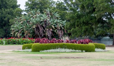 Sydney Centennial Park with Blooming Flowers