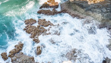Landscape and Wild Nature in Barbados