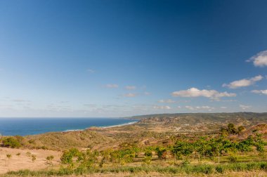 Barbados Landscape with Coastline. Caribbean Ocean. Wild Nature