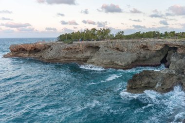 Caribbean Sea and Coastline in Barbados. Sea Waves Flash. Animal Flower Cave in Foreground.