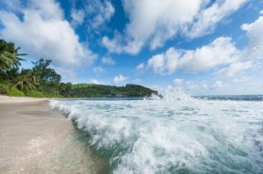 Beach in Seychelles. Sandy Beach and Ocean Waves