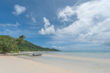Beach in Seychelles Island. Indian Ocean Island with Beautiful Sandy Beach