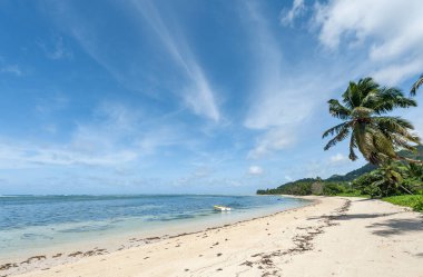 Beach in Seychelles Island. Indian Ocean Island with Beautiful Sandy Beach