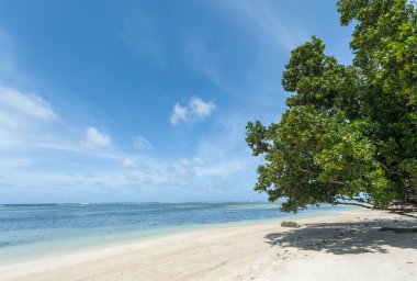 Beach in Seychelles Island. Indian Ocean Island with Beautiful Sandy Beach