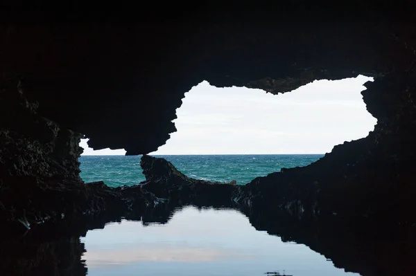 Animal Flower Cave Barbados Island Sightseeing Place — Stok fotoğraf