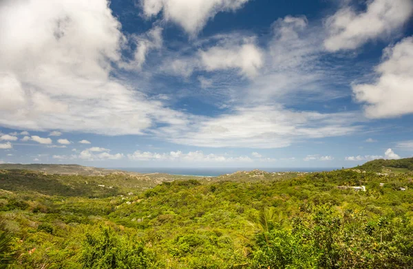 Landscape Barbados Caribbean Sea Palm Tree Blue Sky — Stockfoto