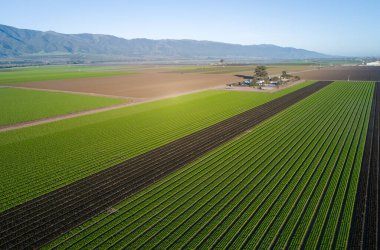 Aerial view of agricultural fields in California, United States. Salinas valley