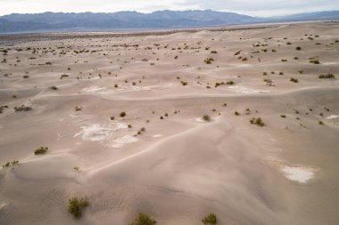 Mesquite düz kumulları Ölüm Vadisi